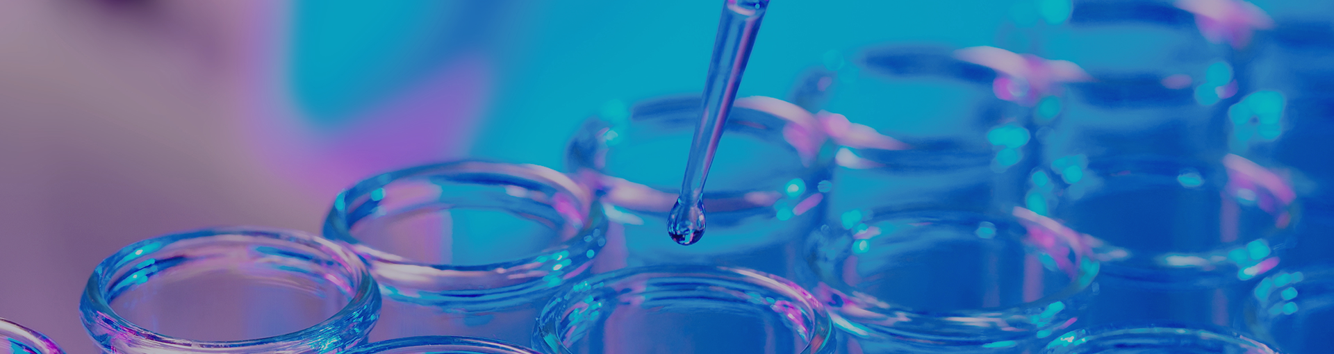 상단배너_이미지_PC